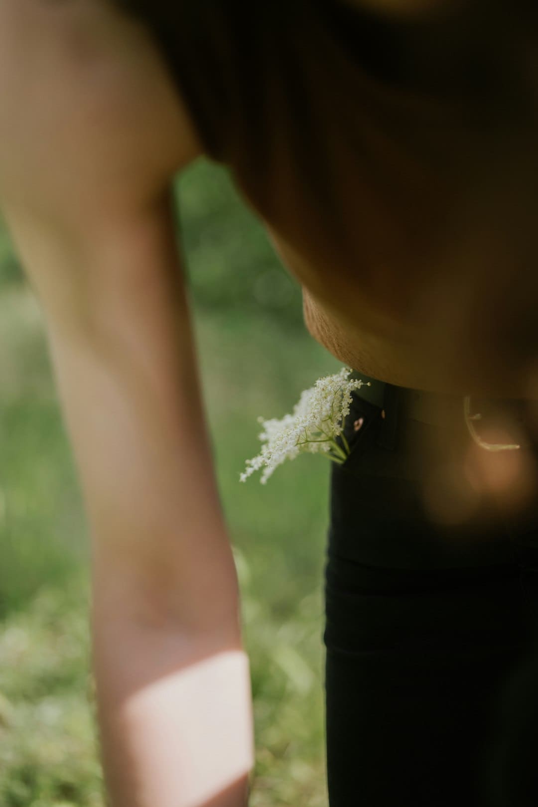 杨紫李现《秀丽芳华》定档6月30日，牡丹重耀续写盛唐篇章